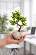 Beautiful Green Artificial Plant