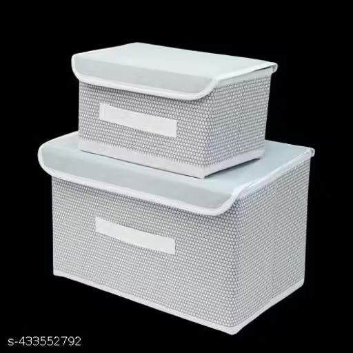 Non-Woven Wardrobe Organizer Bins (Set of 2)