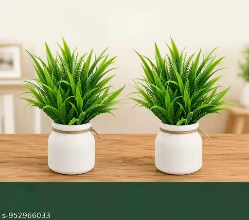 Artificial Potted Plants for Home & Office (Pack of 2)