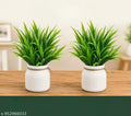 Artificial Potted Plants for Home & Office (Pack of 2)