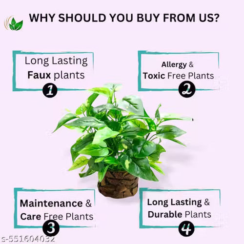 Artificial Money Plant with Coconut Pot