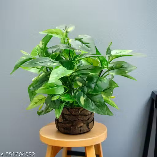 Artificial Money Plant with Coconut Pot