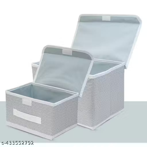 Non-Woven Wardrobe Organizer Bins (Set of 2)