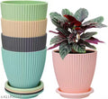 Pack of 5 Multicolor Flower Pots
