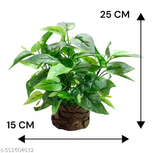 Artificial Money Plant with Coconut Pot