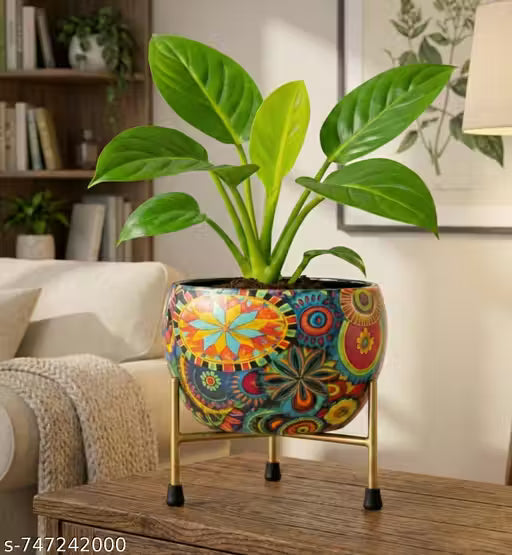 Metal Flower Pot with Stand for Home Décor