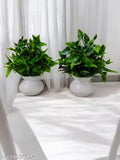 Featuretail Bonsai Artificial Plant Set of 2