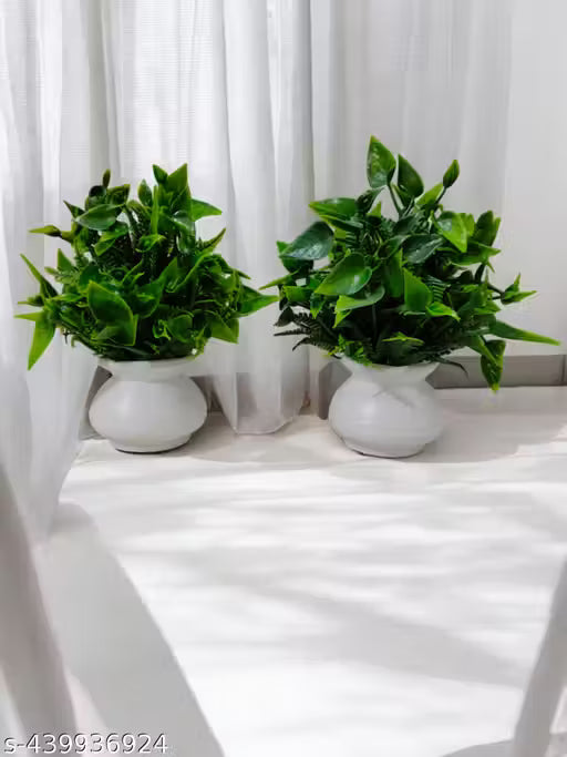 Featuretail Bonsai Artificial Plant Set of 2