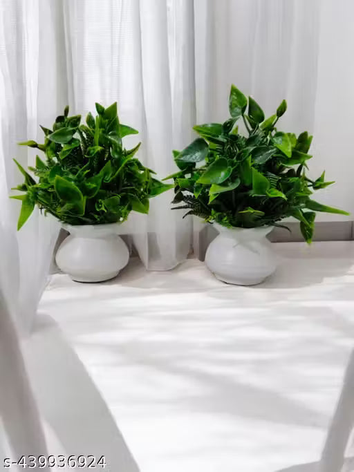 Featuretail Bonsai Artificial Plant Set of 2