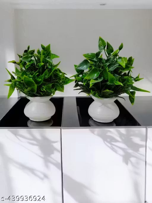 Featuretail Bonsai Artificial Plant Set of 2